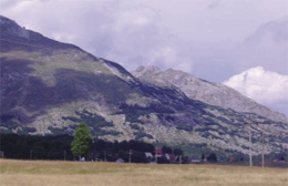 bukovica