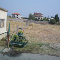 cijevna