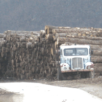 drva-kamion-2