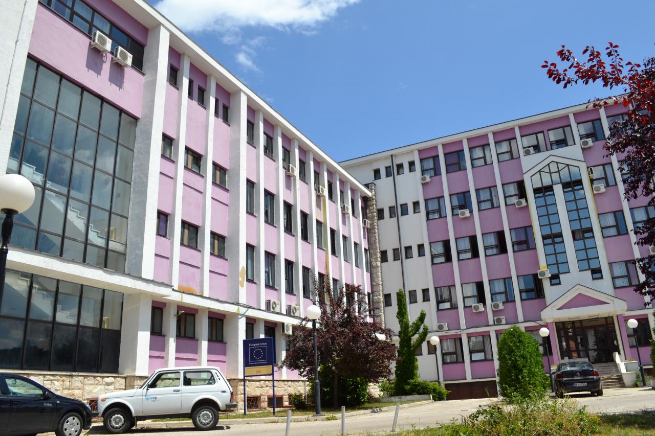 ELEKTROPRIVEDA CRNE GORE I POLITIKA: Nova vlast i stari modeli